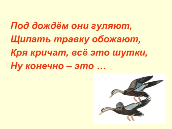 Под дождём они гуляют, Щипать травку обожают, Кря кричат, всё это шутки,