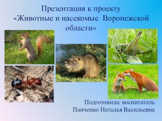 prezentatsiya k proektu zhivotnye i nasekomye voronezhskoy oblasti 1 chast