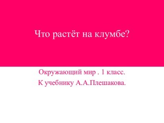 Презентация Что растёт на клумбе презентация к уроку по окружающему миру (1 класс)