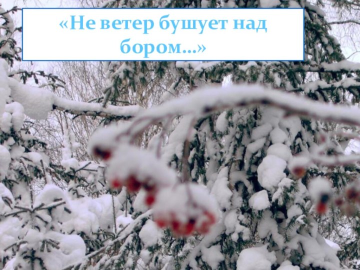 «Не ветер бушует над бором…»