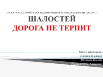 Презентация ШАЛОСТЕЙДОРОГА НЕ ТЕРПИТ презентация к уроку по окружающему миру (2 класс)