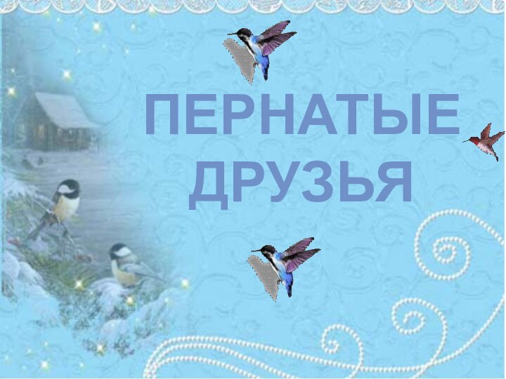 ПЕРНАТЫЕ  ДРУЗЬЯ