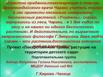 Проект Лекарственные травы,растущие на территории детского сада проект по окружающему миру (подготовительная группа)