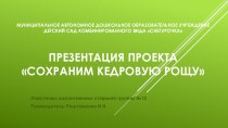 Проект Сохраним кедровую рощу проект по окружающему миру (старшая группа)