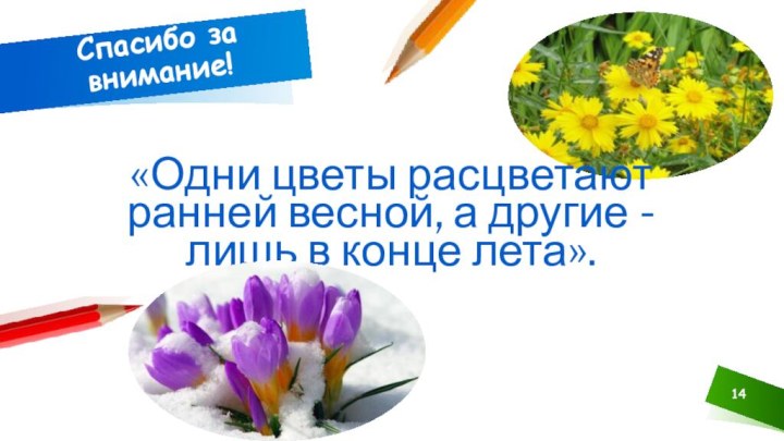 Спасибо за внимание! «Одни цветы расцветают ранней весной, а другие - лишь в конце лета».