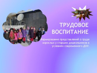 Образовательная область Труд презентация к занятию (старшая группа) по теме