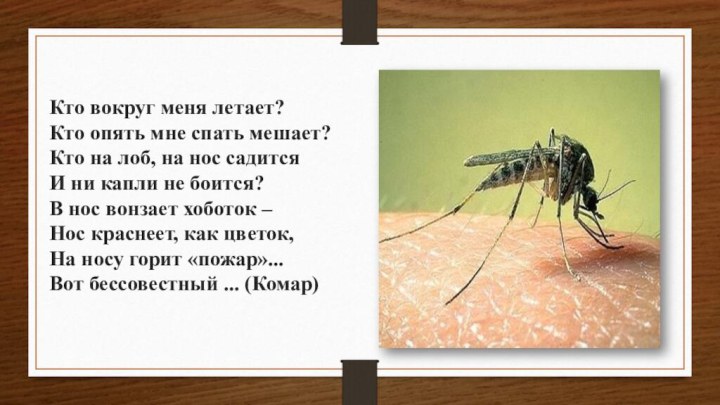 Кто вокруг меня летает?Кто опять мне спать мешает?Кто на лоб, на нос