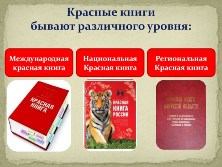 Красные книги  бывают различного уровня:Международная красная книга Национальная Красная книга Региональная Красная книга