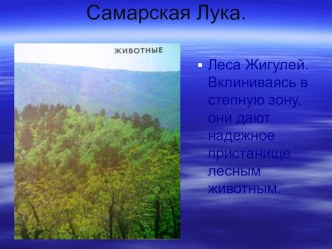 Презентация Животный мир Самарской Луки презентация к уроку по окружающему миру (2 класс)