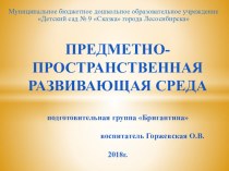 Развивающая предметно-пространственная среда презентация к уроку (подготовительная группа) по теме