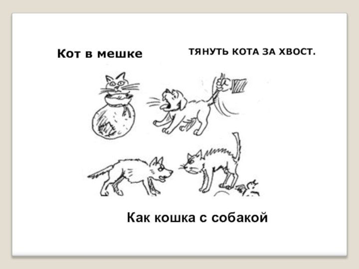 Кот в мешкеКак кошка с собакойТЯНУТЬ КОТА ЗА ХВОСТ.