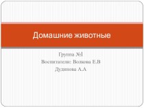 презентация домашние животные презентация к уроку (подготовительная группа)