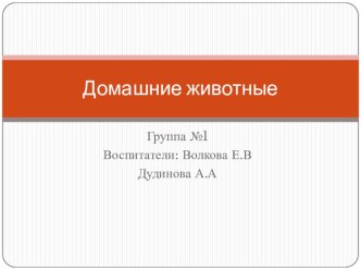 презентация домашние животные презентация к уроку (подготовительная группа)