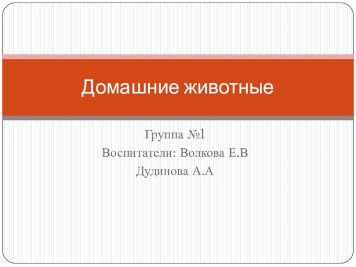 Группа №1Воспитатели: Волкова Е.ВДудинова А.АДомашние животные