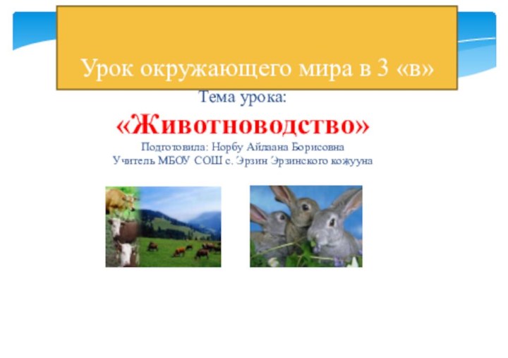 Урок окружающего мира в 3 «в» Тема урока:«Животноводство»Подготовила: Норбу Айлаана БорисовнаУчитель