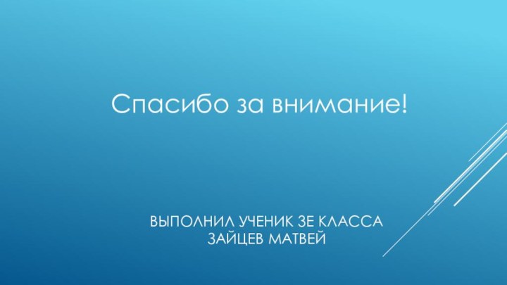 Выполнил ученик 3Е класса  Зайцев МатвейСпасибо за внимание!