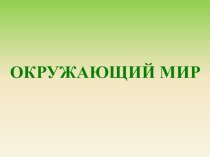 Презентация к уроку окружающего мира по теме Экологические системы презентация к уроку по окружающему миру (2 класс)