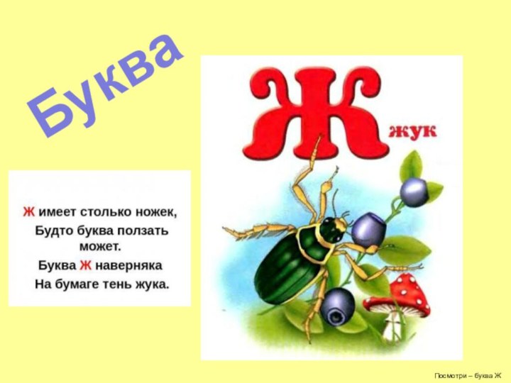 Посмотри – буква ЖБуква