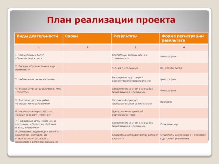 План реализации проекта