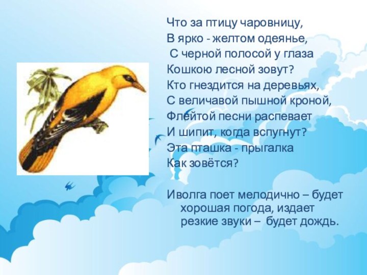 Что за птицу чаровницу, В ярко - желтом одеянье, С черной полосой