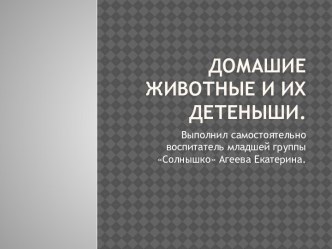 презентация Домашние животные видеоурок по окружающему миру (средняя группа)