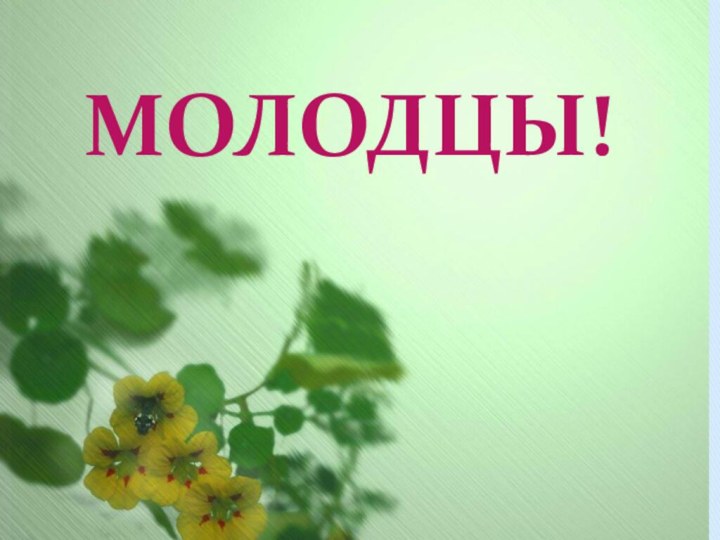 МОЛОДЦЫ!