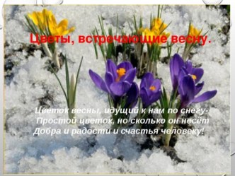 Презентация: Первые весенние цветы. презентация к уроку по развитию речи (средняя группа)