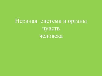 Конспект организации непосредственно образовательной деятельности Тема: Нервная система и органы чувств план-конспект занятия по окружающему миру (средняя группа) по теме