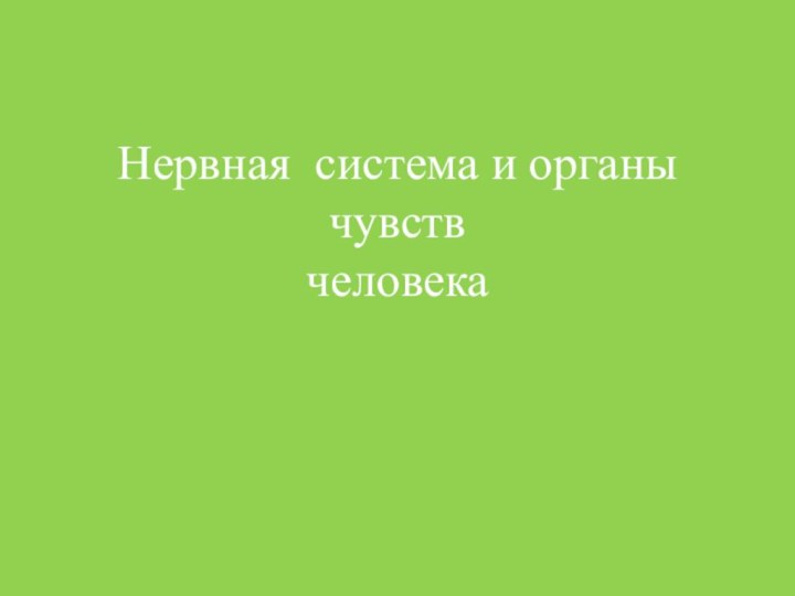 Нервная система и органы чувств  человека