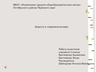 Береста в современном мире презентация к уроку по окружающему миру (3 класс) по теме