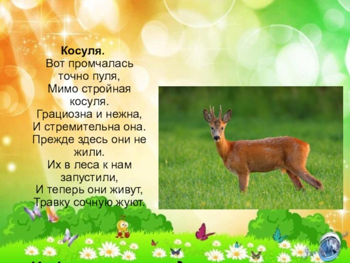 Косуля. Вот промчалась точно пуля,  Мимо стройная косуля.  Грациозна и нежна,  И