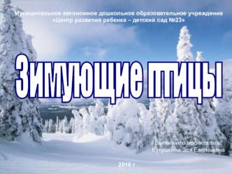 Зимующие птицы презентация к уроку по окружающему миру (средняя группа)