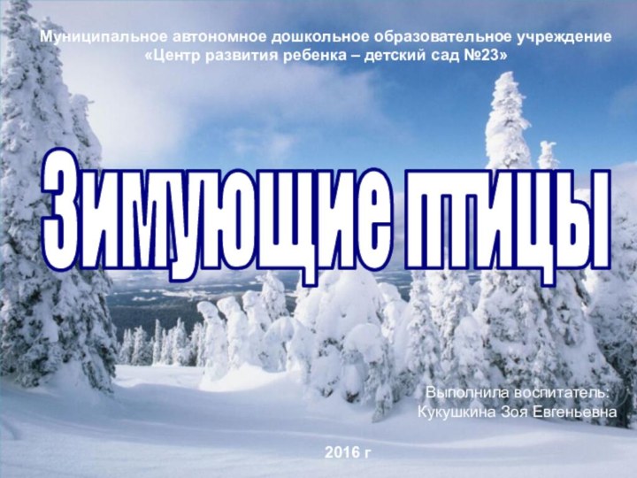 Зимующие птицыМуниципальное автономное дошкольное образовательное учреждение «Центр развития ребенка – детский сад