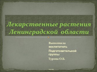 Презентация Лекарственные растения Ленинградской области презентация к уроку по окружающему миру (подготовительная группа)