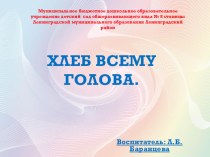 Презентация Хлеб всему голова презентация к уроку по окружающему миру (старшая группа)