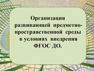 ДОКЛАД Организация развивающей предметно-пространственной среды в условиях реализации ФГОС ДО. методическая разработка