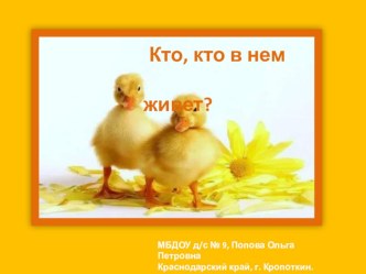 Презентация про утят Кто, кто в нем живет? презентация по окружающему миру