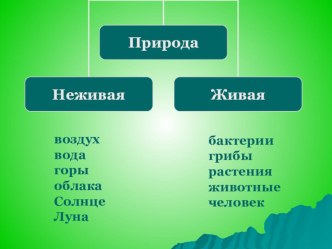 Презентация к уроку. презентация к уроку по окружающему миру (2 класс) по теме