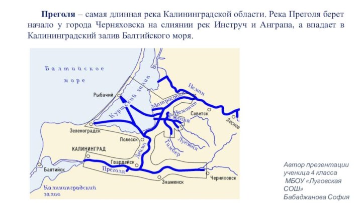 Преголя – самая длинная река Калининградской области. Река Преголя берет начало у