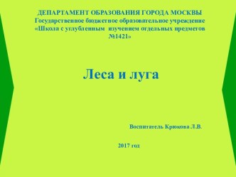 Презентация :Леса и луга старшая группа презентация к уроку по окружающему миру (старшая группа)