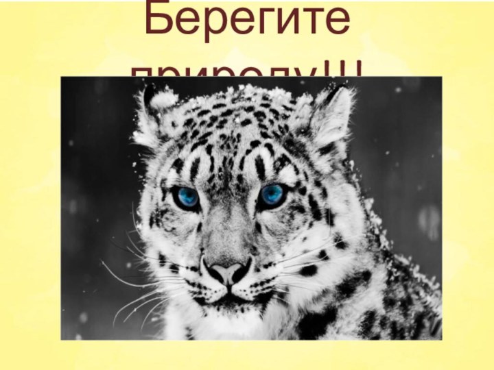 Берегите природу!!!