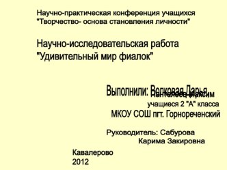 Исследовательская работа Удивительный мир фиалок презентация к уроку по окружающему миру (2 класс) по теме