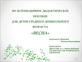 Путешествие в весенний лес план-конспект занятия по окружающему миру (средняя группа)