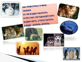 Зоологические забеги (внеклассное мероприятие) презентация к уроку по окружающему миру (2 класс) по теме