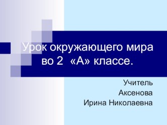 Море презентация к уроку по окружающему миру (2 класс) по теме