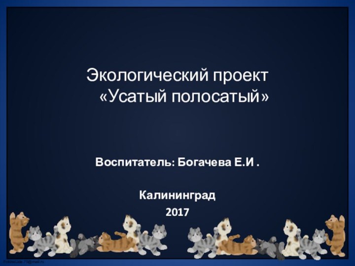 Экологический проект  «Усатый полосатый»  Воспитатель: Богачева Е.И .Калининград 2017