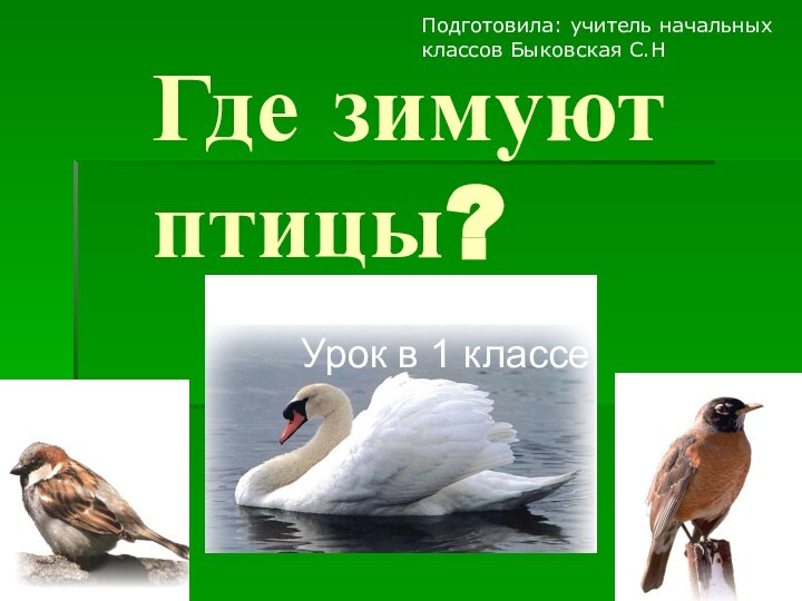 Где зимуют птицы?Урок в 1 классеПодготовила: учитель начальных классов Быковская С.Н