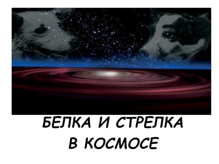 БЕЛКА И СТРЕЛКА В КОСМОСЕ