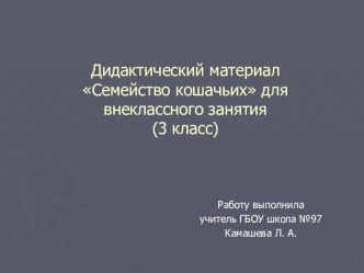 Семейство кошачьих презентация к уроку (2 класс) по теме