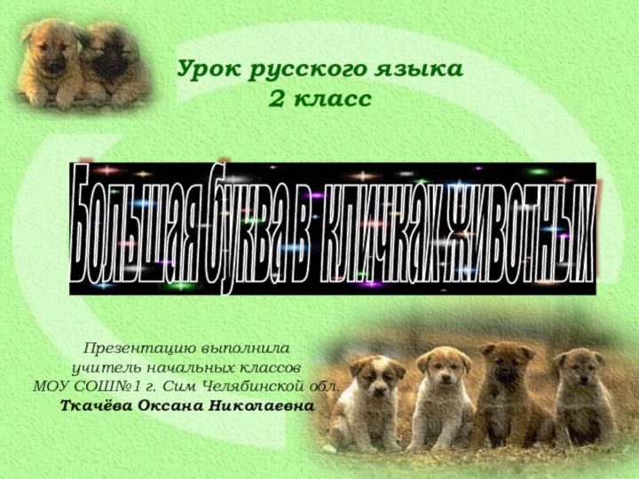 Большая буква в кличках животных Урок русского языка2 классПрезентацию выполнила учитель начальных